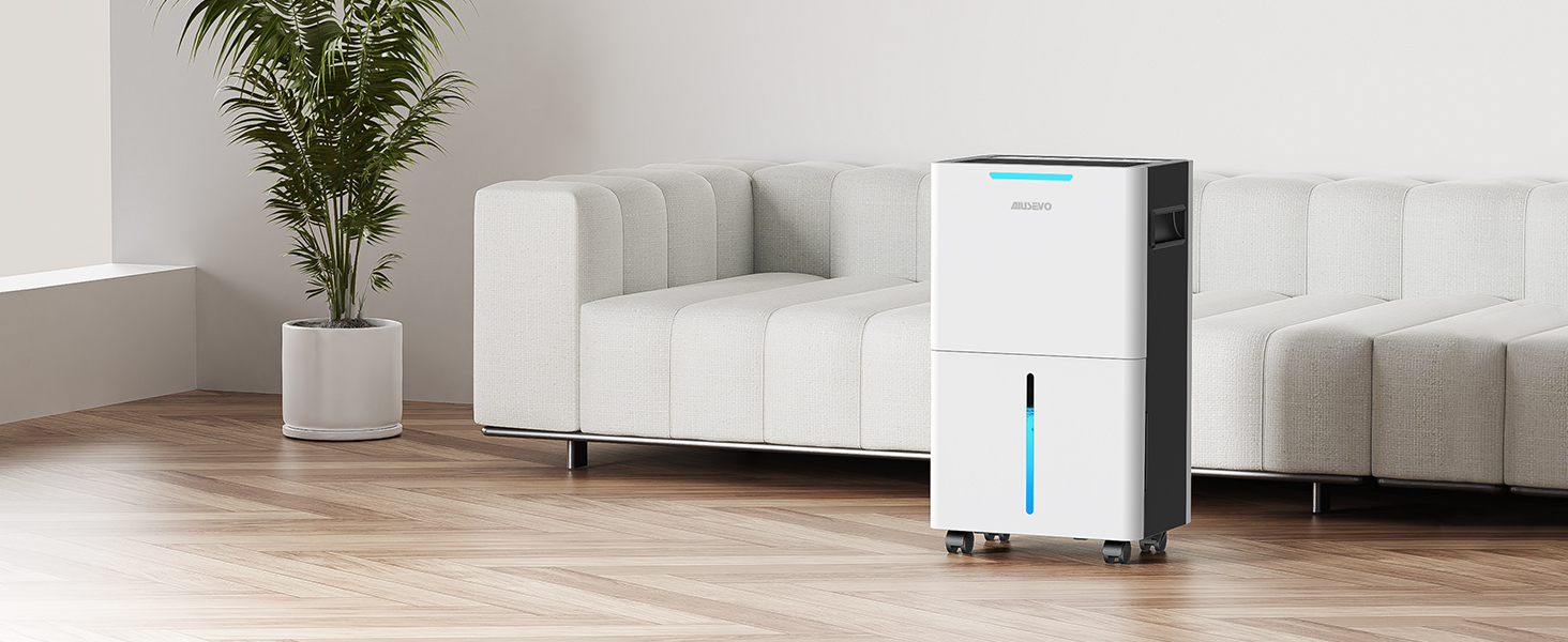 Aiusevo photo 9